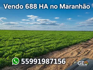 Fazenda em Santo Amaro do Maranhão - MA