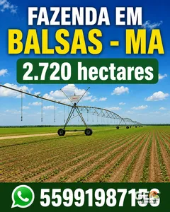 Fazenda em Balsas - MA