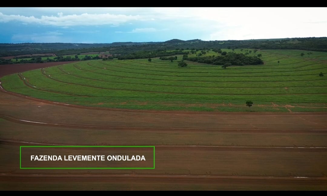 Fazenda em Pedro Gomes - MS