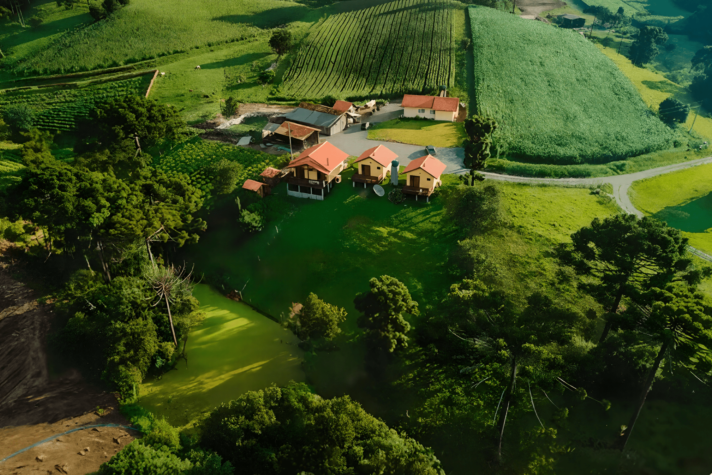 Sítio em Inocência - MS