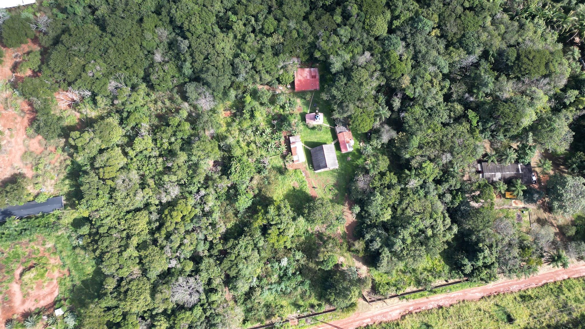 Vista aérea de propriedade rural com casas e mata